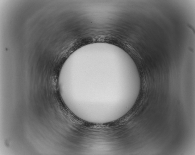 X0000102790661200808180955