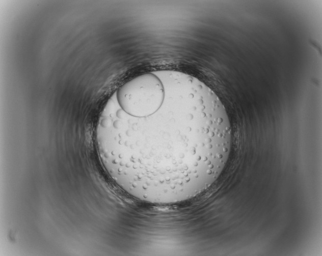 X0000102790662200808180955