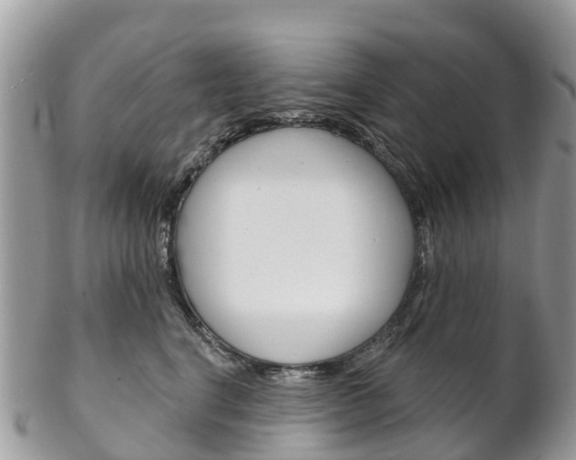 X0000102790664200808180955