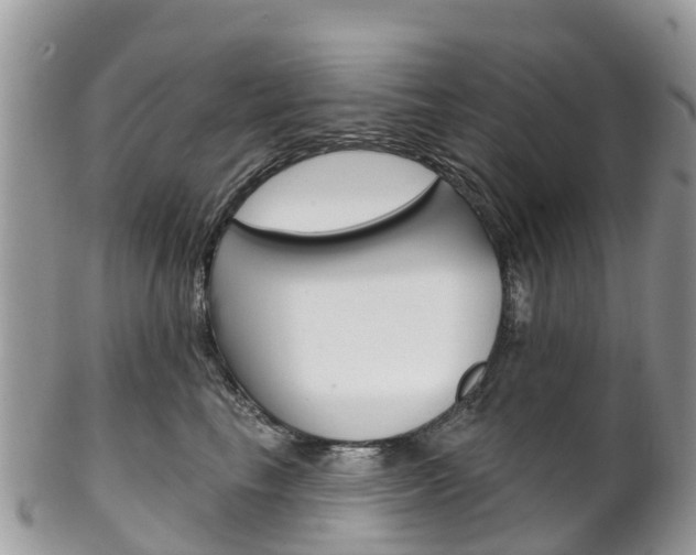 X0000102790665200808180955