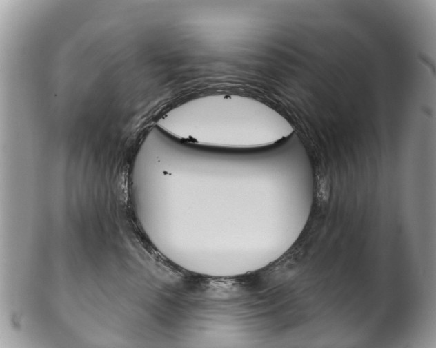 X0000102790666200808180955