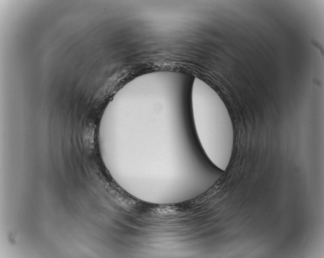 X0000102790668200808180955