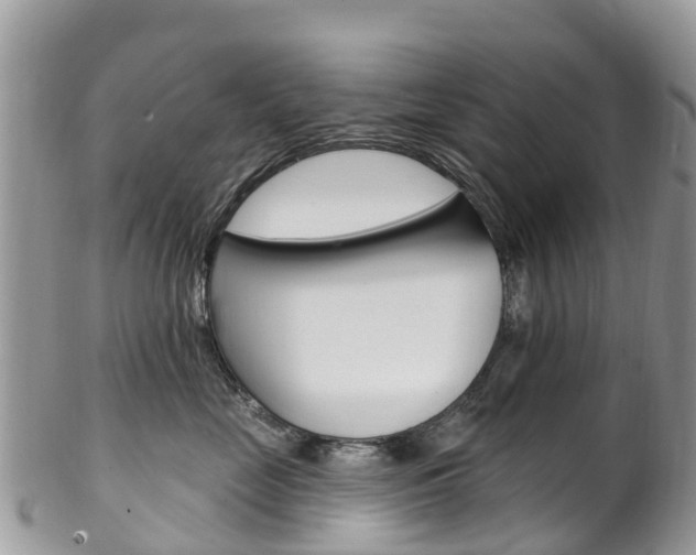 X0000102790669200808180955
