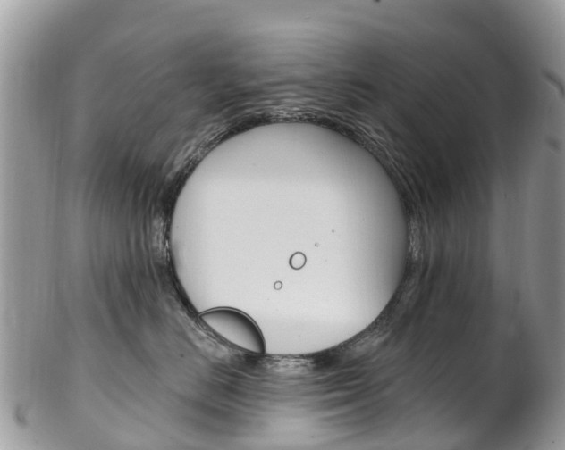 X0000102790670200808180955