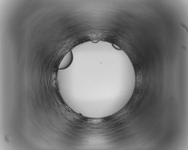 X0000102790671200808180955