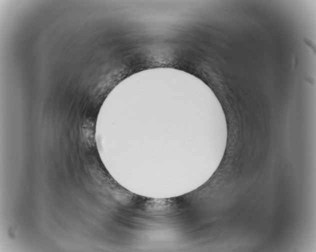 X0000102790672200808180955