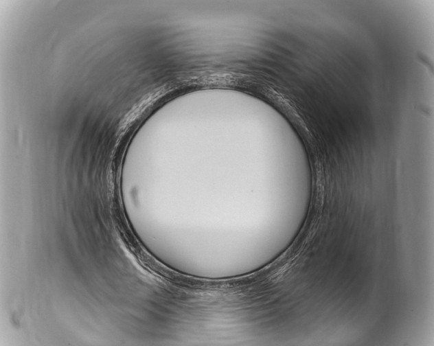 X0000102790674200808180954