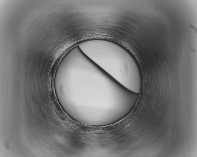 X0000102790675200808180954