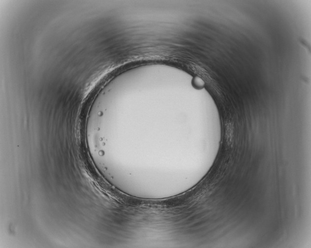 X0000102790676200808180954