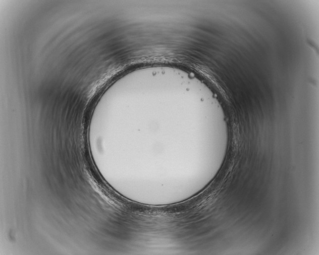 X0000102790677200808180954