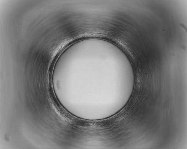 X0000102790678200808180954
