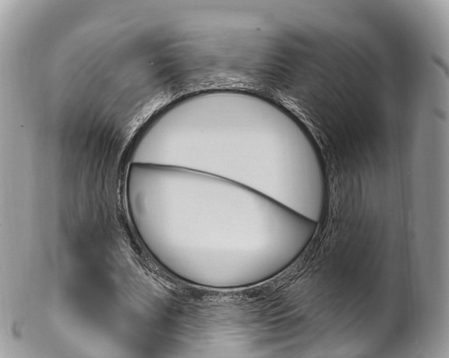 X0000102790679200808180954