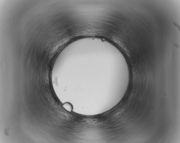 X0000102790681200808180954