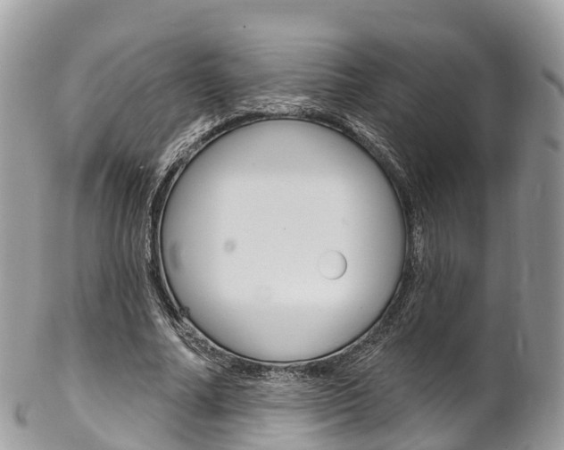 X0000102790682200808180954
