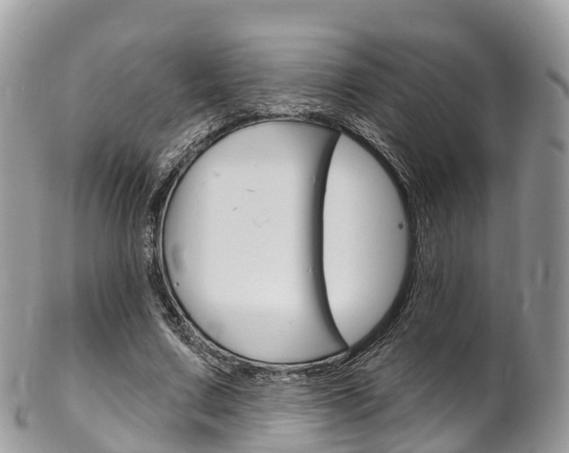 X0000102790683200808180954