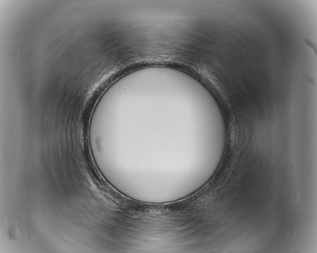 X0000102790684200808180954