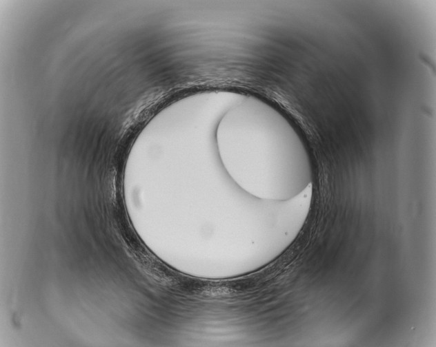 X0000102790685200808180954