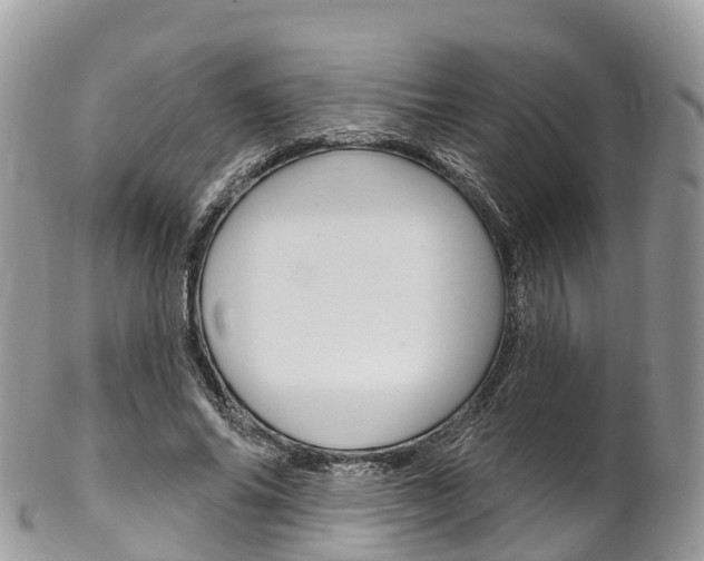 X0000102790686200808180954