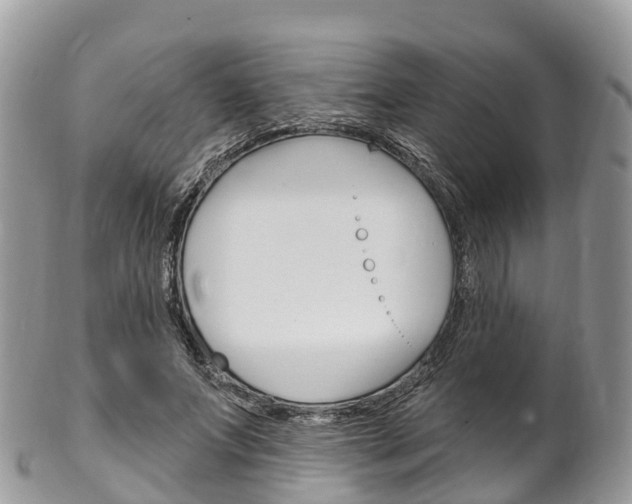 X0000102790687200808180954