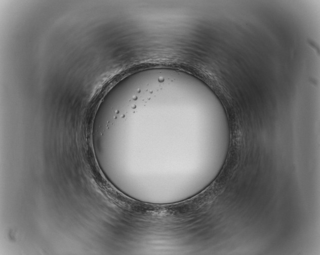 X0000102790688200808180954