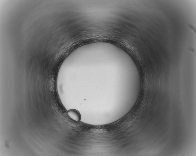 X0000102790689200808180954