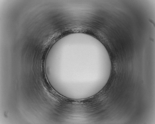 X0000102790690200808180954