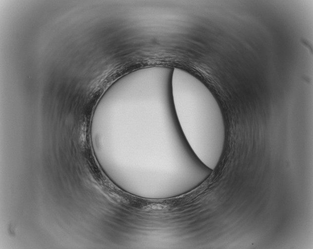 X0000102790691200808180954
