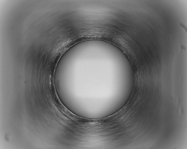 X0000102790692200808180954