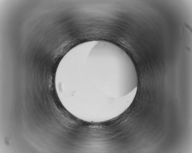 X0000102790693200808180954