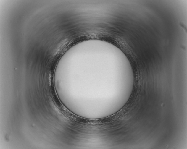 X0000102790694200808180954