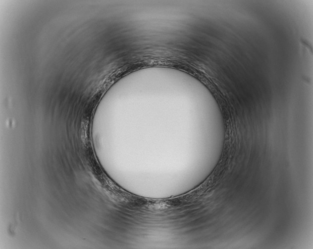 X0000102790695200808180954