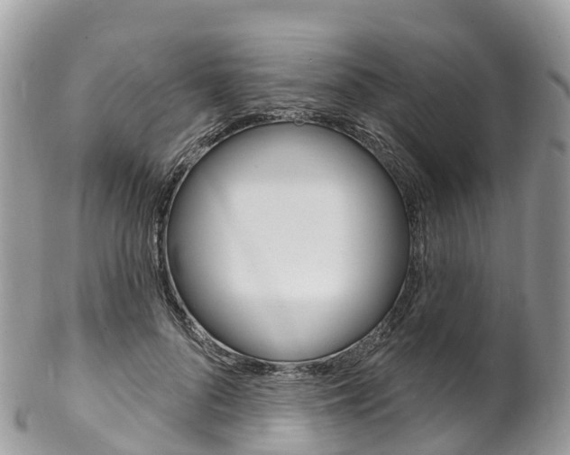 X0000102790696200808180954