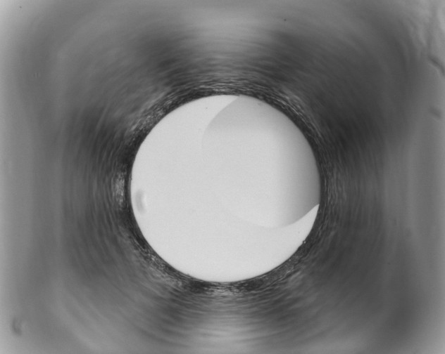 X0000102790697200808180954