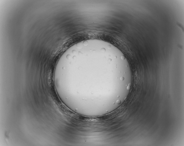 X0000102790698200808180954