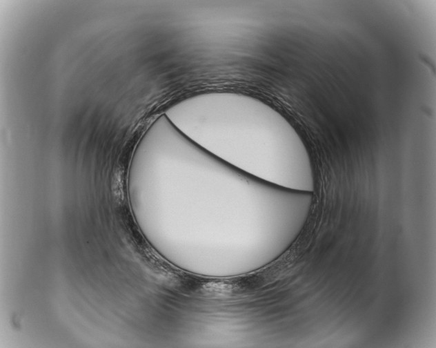 X0000102790699200808180954