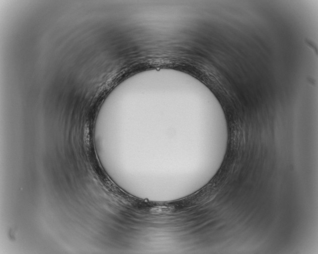 X0000102790700200808180954