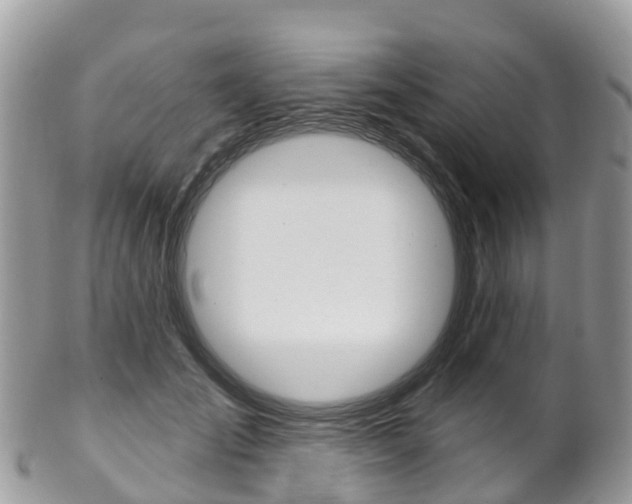 X0000102790701200808180954
