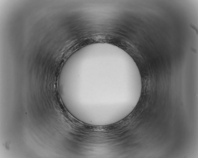 X0000102790702200808180954