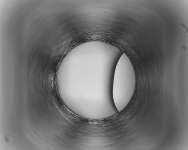 X0000102790703200808180954