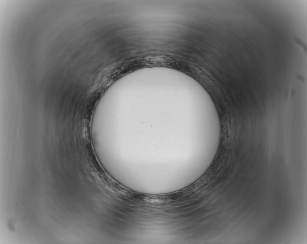 X0000102790706200808180954