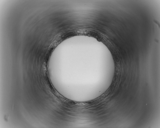 X0000102790707200808180953