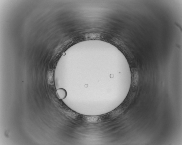X0000102790709200808180953