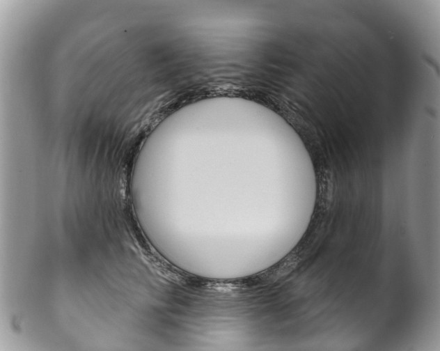 X0000102790710200808180953