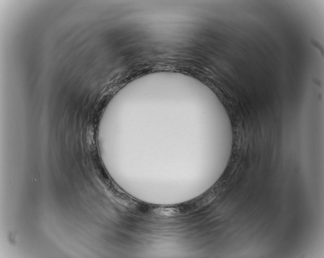 X0000102790711200808180953