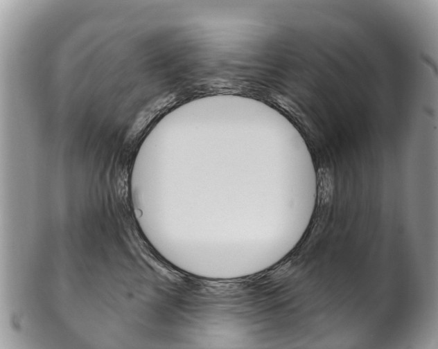 X0000102790713200808180953