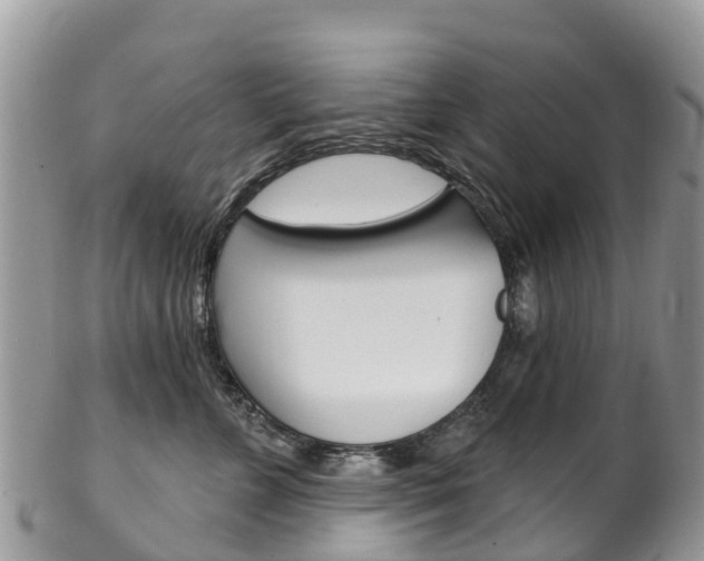 X0000102790715200808180953