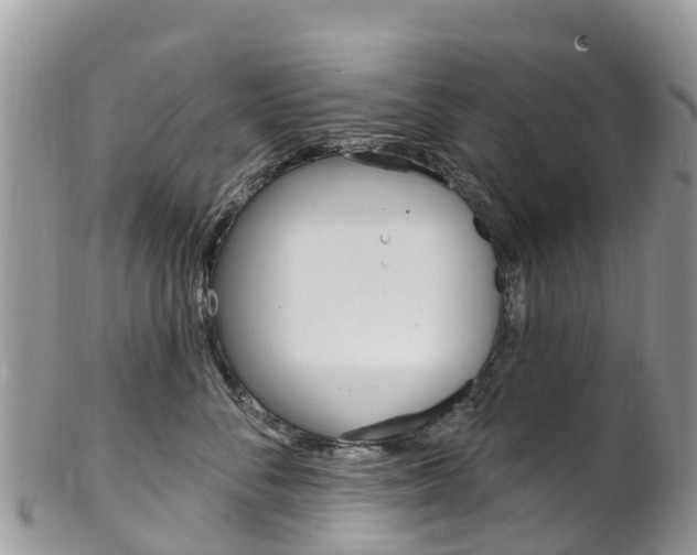 X0000102790716200808180953