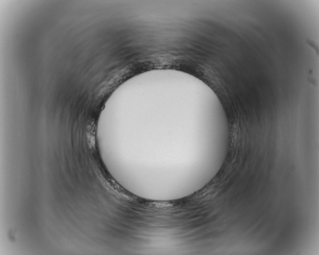 X0000102790719200808180953