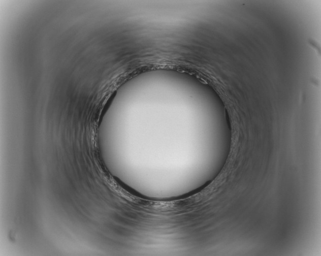 X0000102790720200808180953
