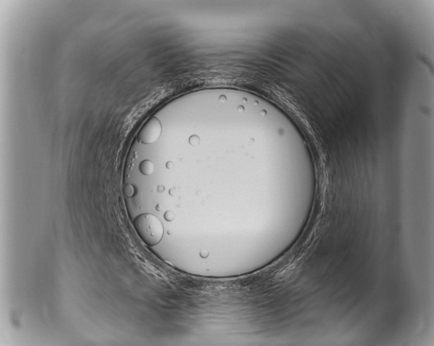 X0000102790721200808180953